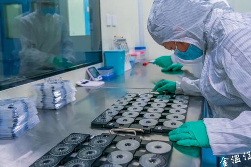 温江吹响服务业发展集结号 生物农药技术研发引领绿色产业新风向