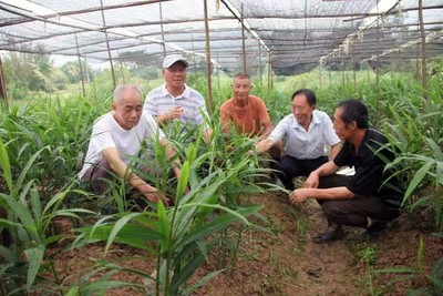 农业文化遗产活态保护与利用研究获重要成果